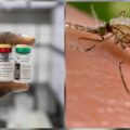Everything to know about malaria new vaccine approved by WHO:IKEJABIRD.COM