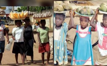 Nigeria has over 7 million girls out of school – UNICEF reports:ikejabird.com