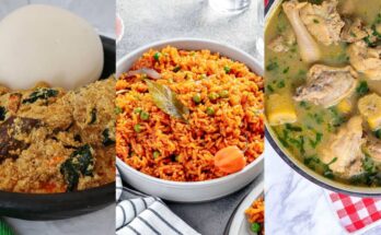 This is for Enioluwa: Top 10 Nigerian delicacies every food lover must try:ikejabird.com