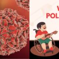 Today is World's Polio Day. Polio: Origin, causes, prevention of dreaded disease:ikejabird.com
