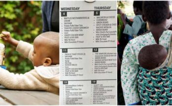 Mother cries out after seeing son's school menu