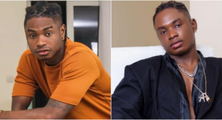 How my mother and dog slept for 24 hours after eating cake from my fridge – Lil Kesh