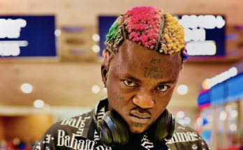 Carterefe stole my artiste from me – Portable