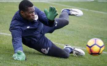 Four goalkeepers who could solve Super Eagles goalkeeping issues
