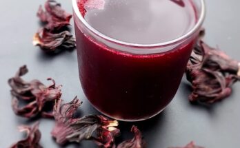 Zobo don turn contraceptive: Potential risks of Zobo drink during pregnancy | Ikejabird.com