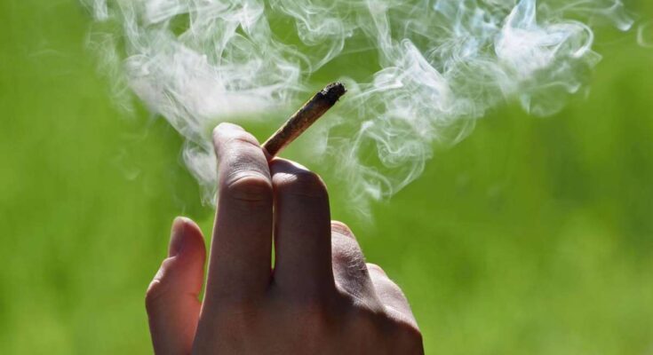 How smoking weed affects your mind and body