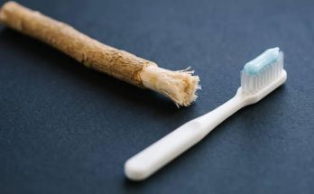 Chewing stick and toothbrush used for everyday oral hygiene.