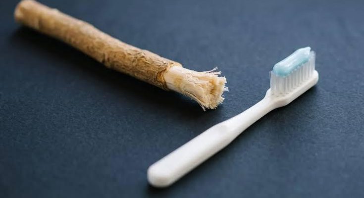 Chewing stick and toothbrush used for everyday oral hygiene.